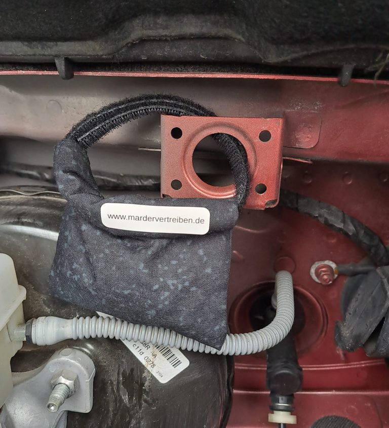 Marderheld im Auto
